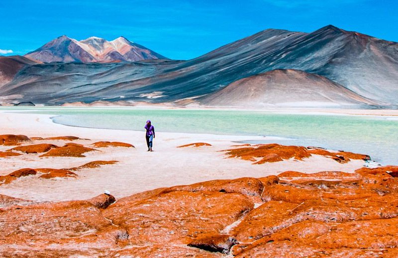 Altiplano