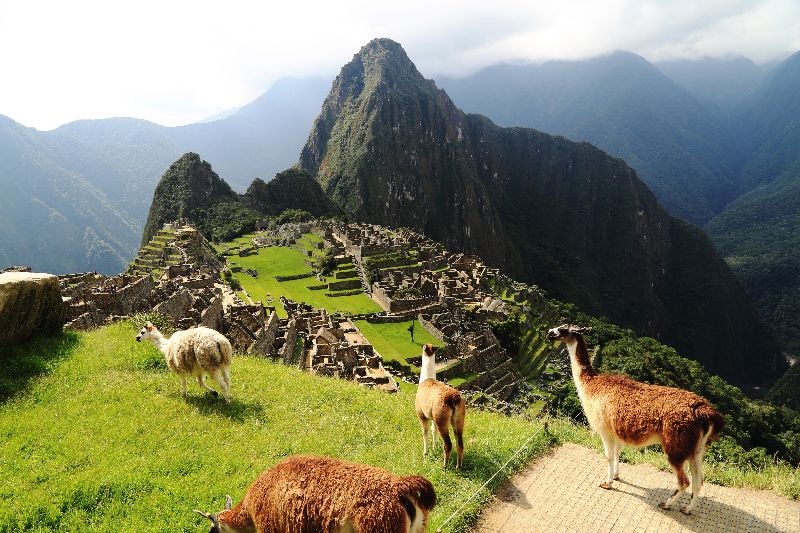Machu Picchu