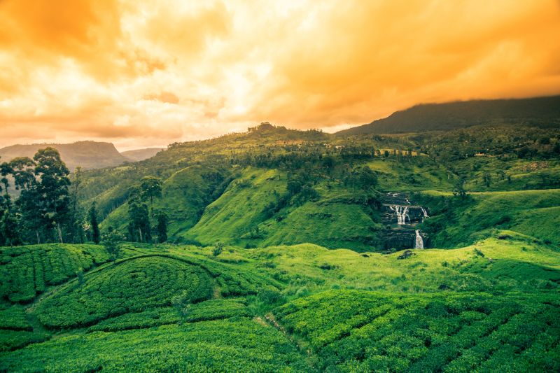 Kandy