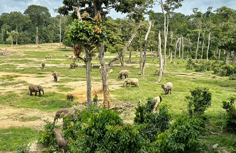 Brazzaville – Oues...